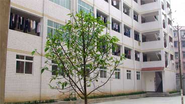 威遠自強中學(xué)是民辦還是公辦學(xué)校？