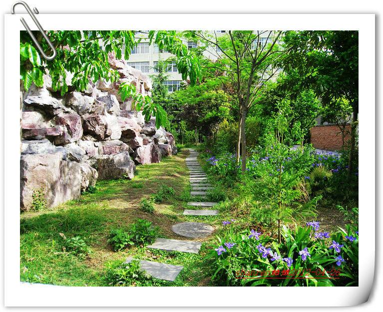 甘洛中學(xué)地址在哪里？