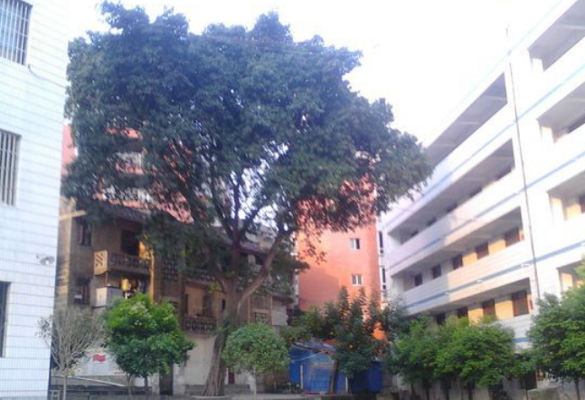 資中縣太平中學(xué)地理位置在哪里？