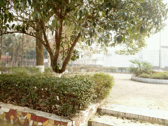 隆昌六中現(xiàn)在有沒有高中?。?/></span></p><p id=