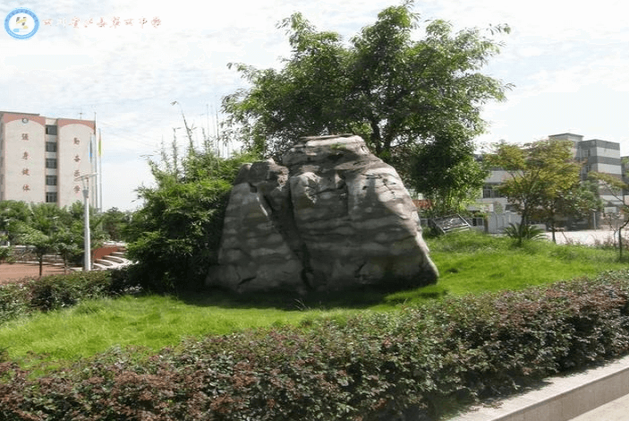 瀘縣第四中學(xué)2018年自主招生計劃