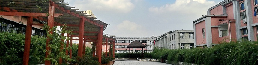 成都市通錦中學(xué)2019年中考分?jǐn)?shù)線是多少？