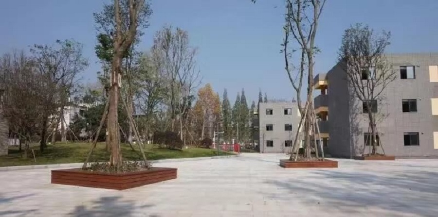 成都綿實外國語學校2019年招生公告公布了嗎？