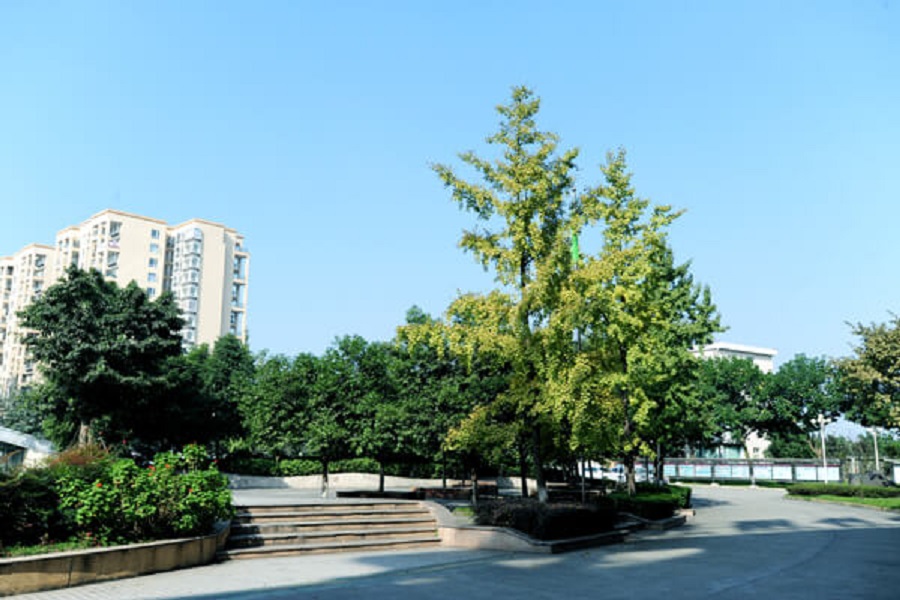 成都棠湖外國(guó)語(yǔ)學(xué)校地址在哪里？
