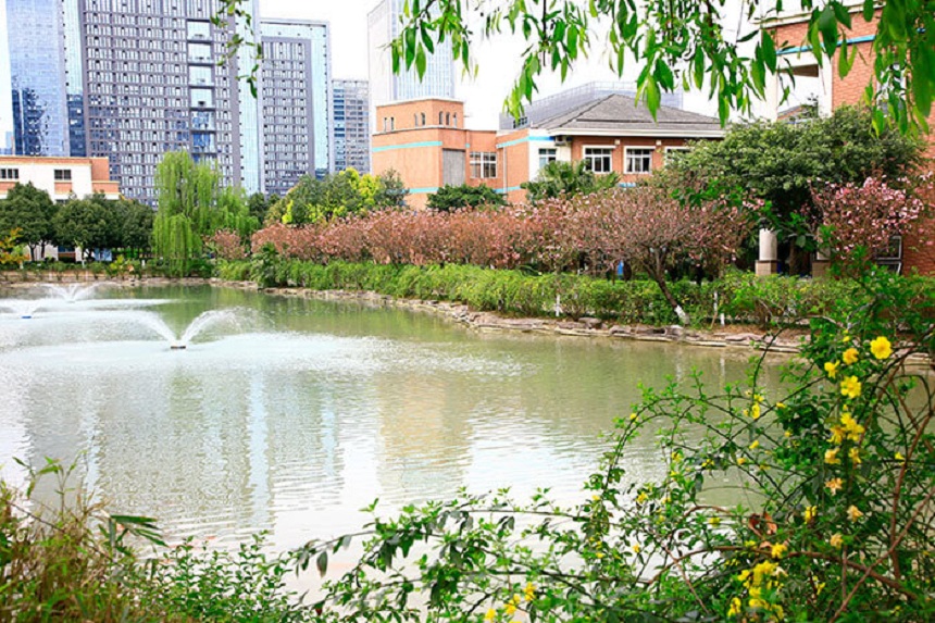 成都美視國(guó)際學(xué)校網(wǎng)址是什么？