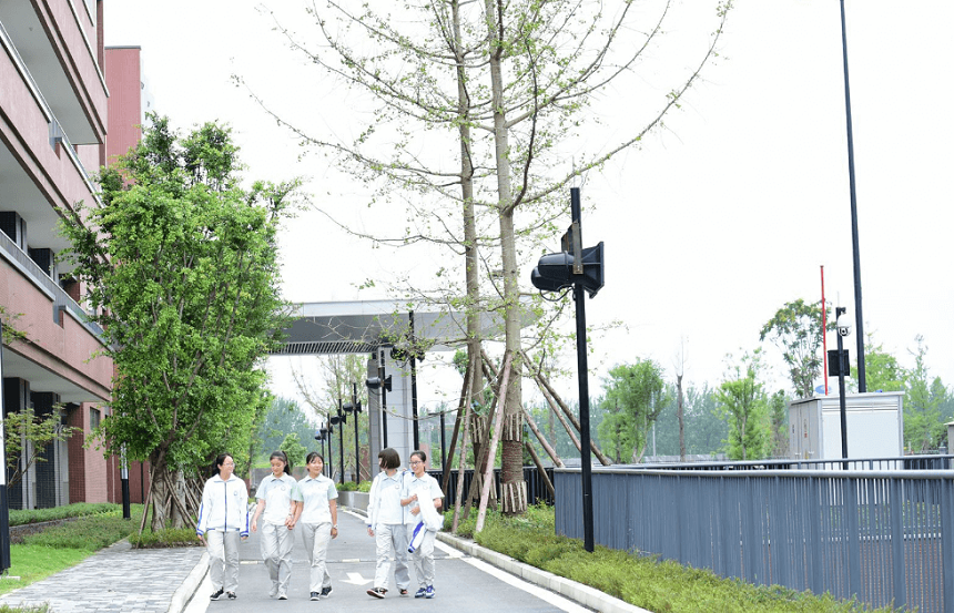 電子科技大學(xué)實驗中學(xué)2020年招生計劃公布