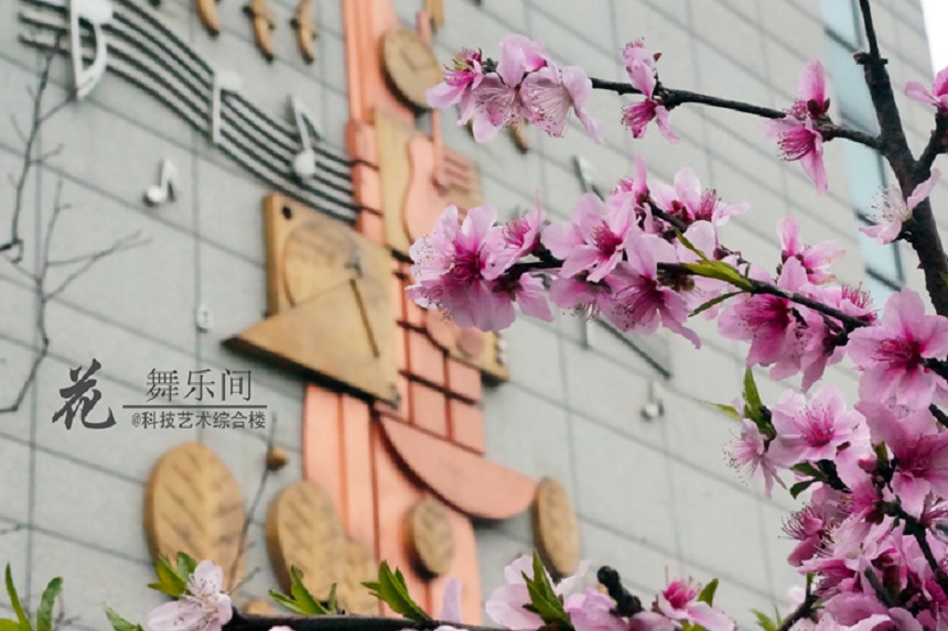 石室天府中學(xué)環(huán)境好不好、怎么樣？