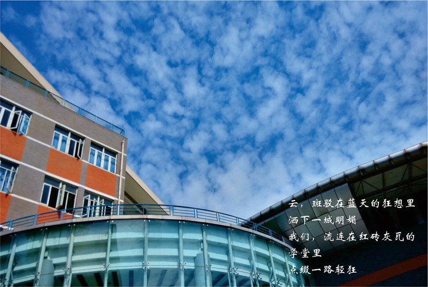 成都七中高新校區(qū)教學質(zhì)量好不好？