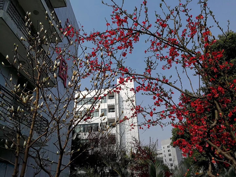 綿陽南山中學(xué)教學(xué)質(zhì)量怎么樣？