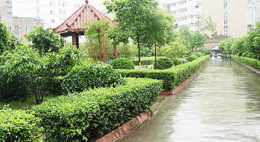 華興中學環(huán)境好不好？