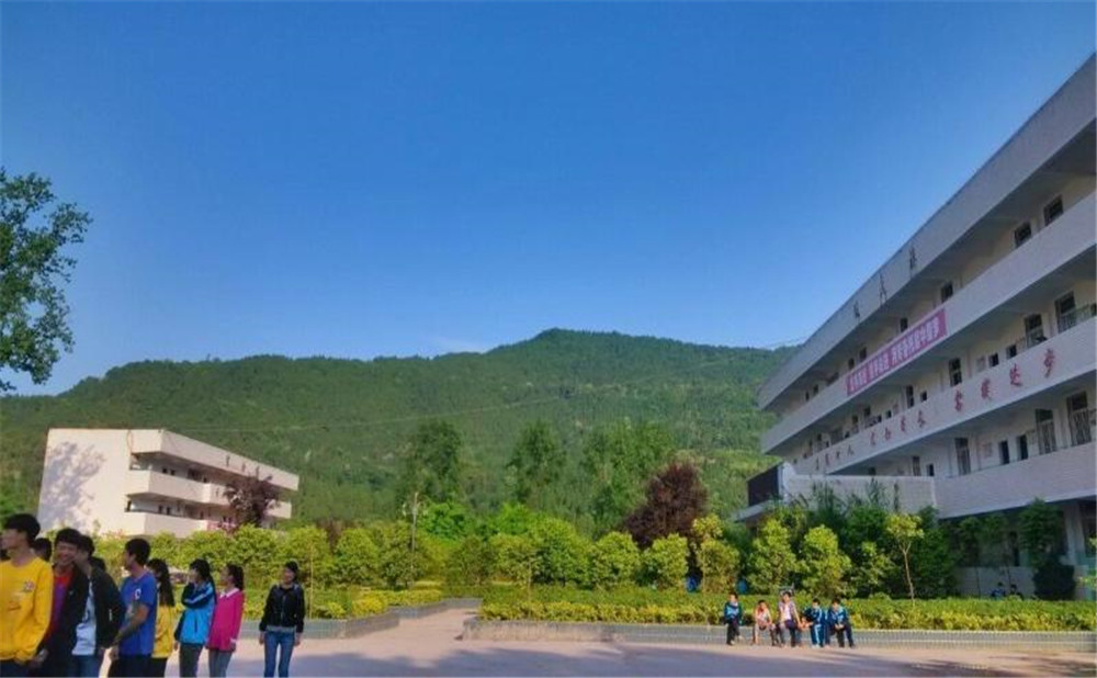 金山中學(xué)2020年學(xué)校招生計(jì)劃在哪兒看？