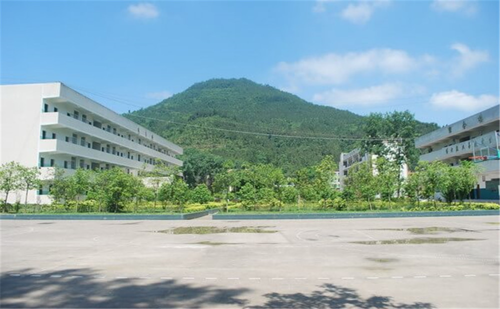金山中學(xué)學(xué)校環(huán)境如何？