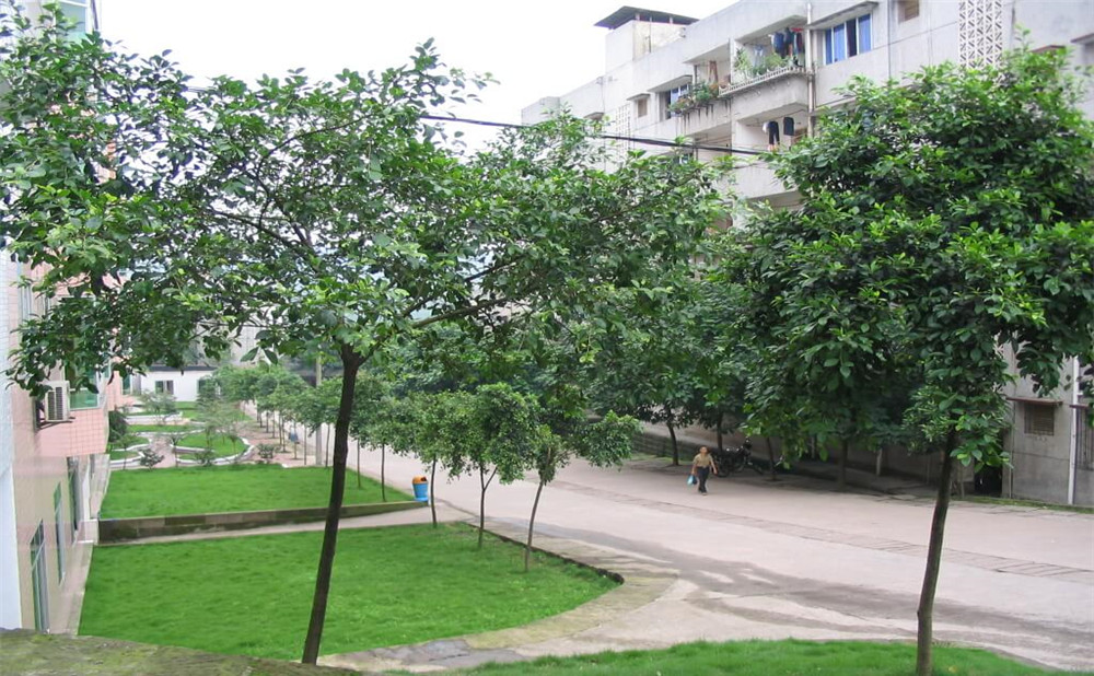 瀘州市納溪區(qū)護(hù)國(guó)中學(xué)地址在哪里？