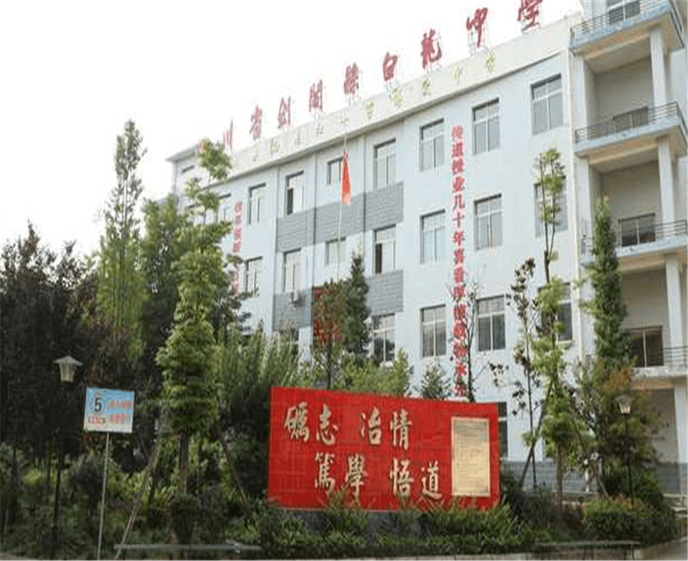 白龍中學2020年招生計劃公布了嗎？