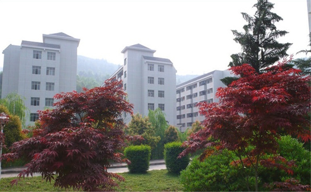 巴中中學(xué)學(xué)校詳細地址在什么地方？