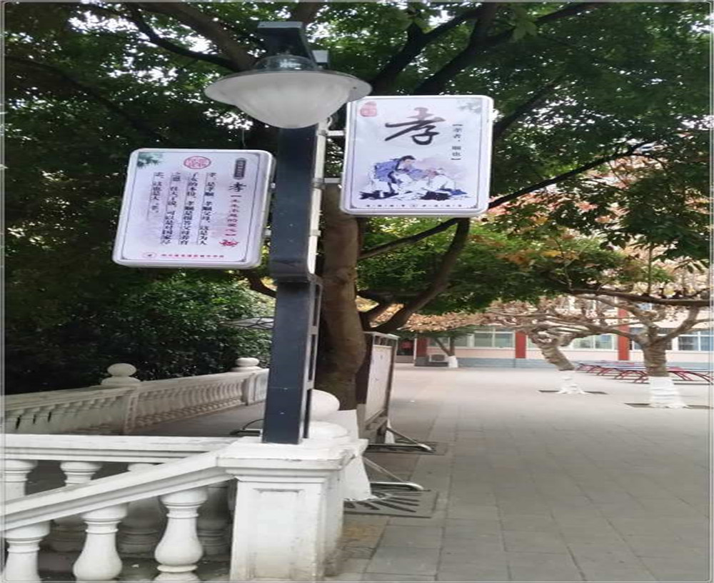 蒼溪實驗中學2020年的招生簡章發(fā)布了嗎？