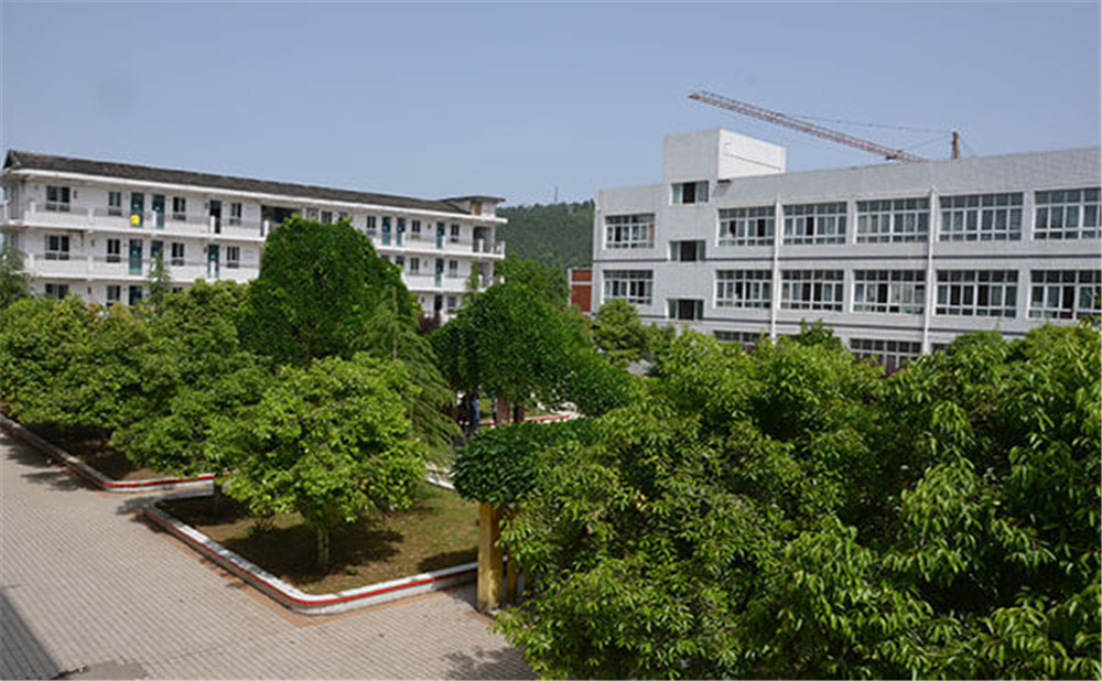 曾口中學2020年招生計劃公布了嗎？