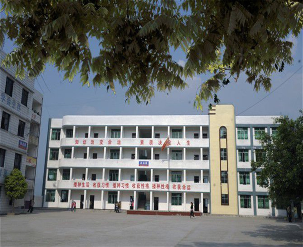 臨巴中學的詳細地址在什么地方？