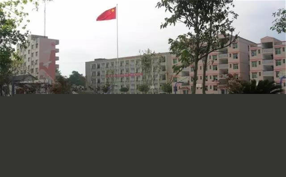 內江市第十一中學學校招辦電話是多少？