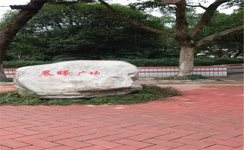 內(nèi)江十二中2020年中考錄取分?jǐn)?shù)線多少分？