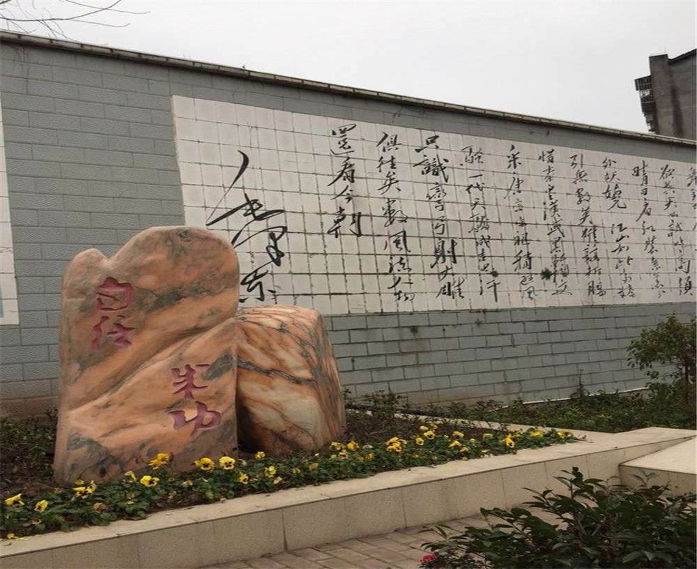 蒲家中學(xué)2020年招生計(jì)劃在哪兒看？