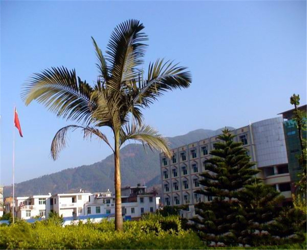 四川省鹽邊縣漁門(mén)中學(xué)2020年學(xué)校學(xué)費(fèi)多少錢(qián)一年？