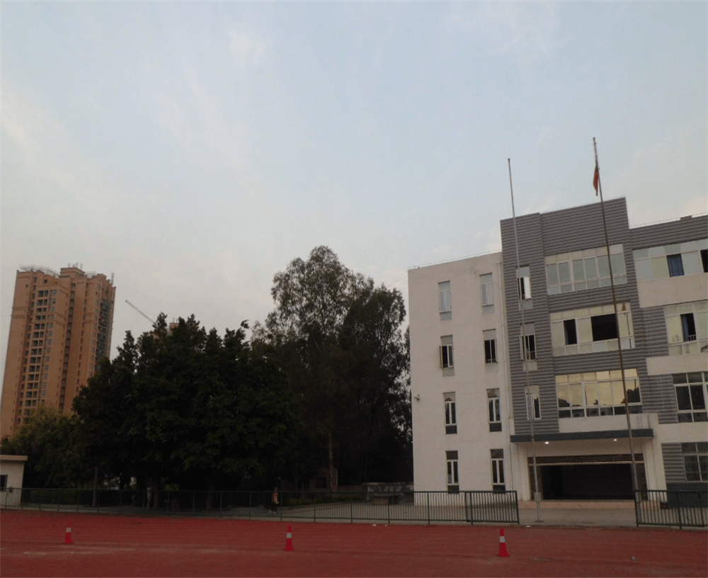 四川省攀枝花市第九中學校環(huán)境怎么樣？