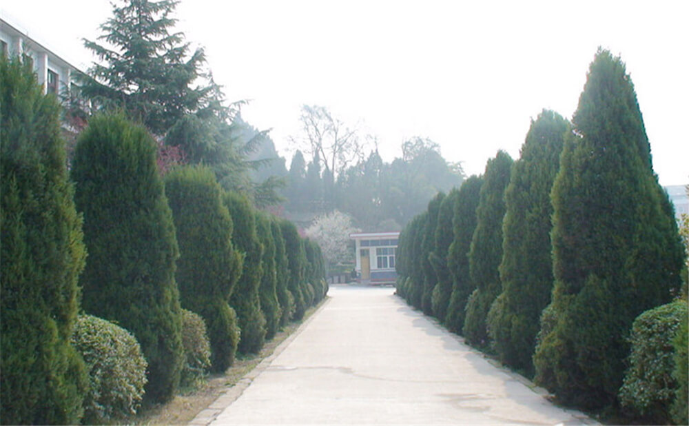 建興中學(xué)學(xué)校招辦電話(huà)是多少？