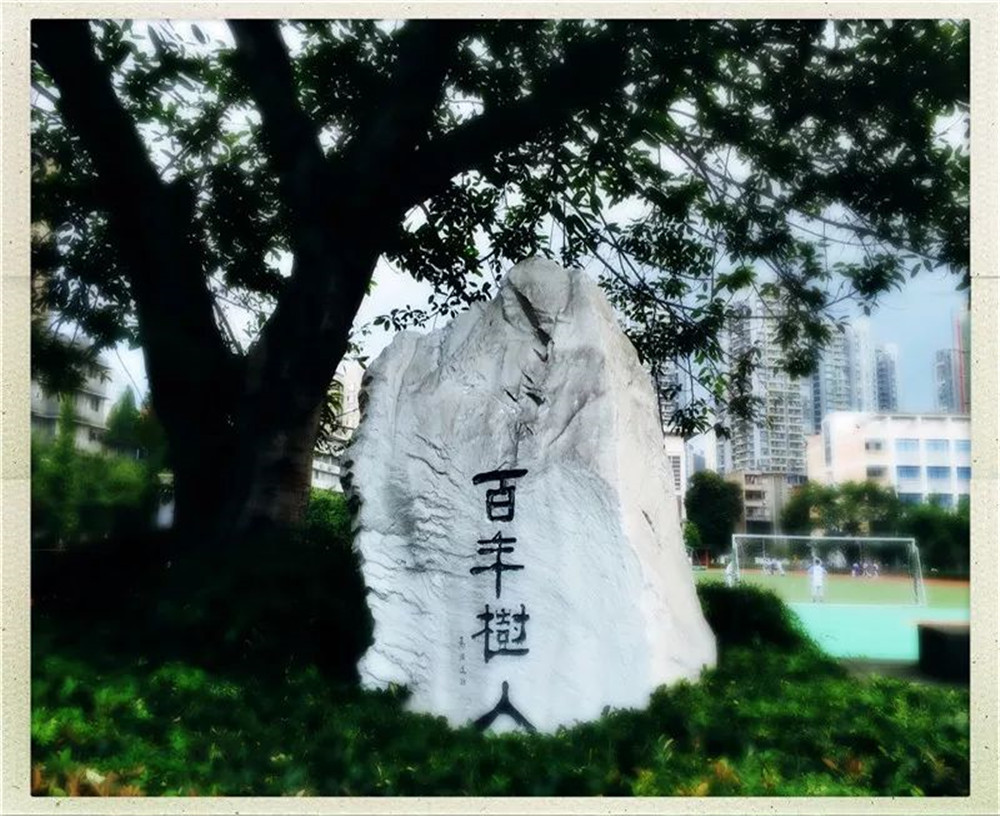 四川大學(xué)附屬中學(xué)2020年的錄取分?jǐn)?shù)線是多少？