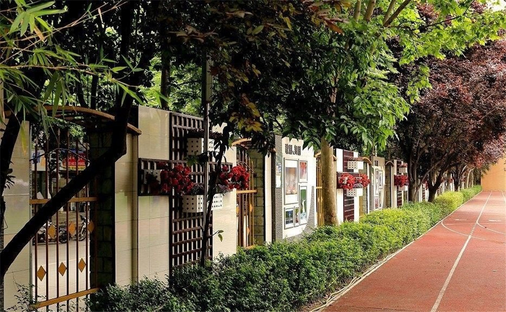 成都大學附屬中學2020年的錄取分數(shù)是多少？