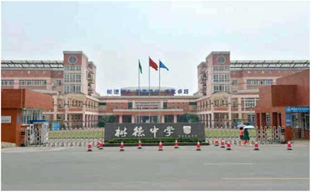 樹(shù)德博瑞實(shí)驗(yàn)學(xué)校2020年的招生計(jì)劃是多少？