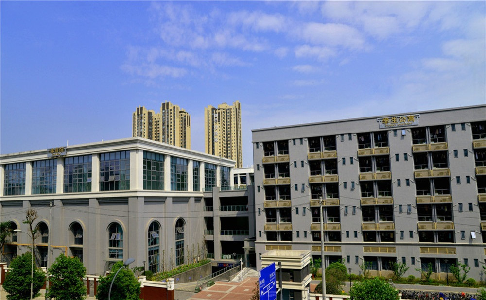 成都市第四十九中學(xué)去年的錄取分?jǐn)?shù)是多少？