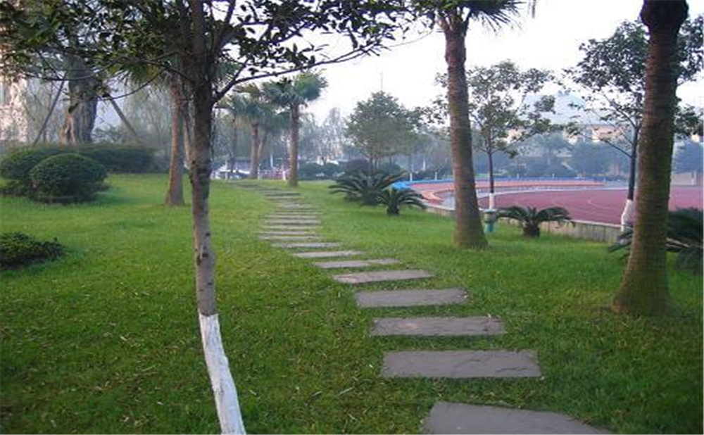 成都石室佳興外國語學(xué)校外招生一年的學(xué)費(fèi)是多少錢？