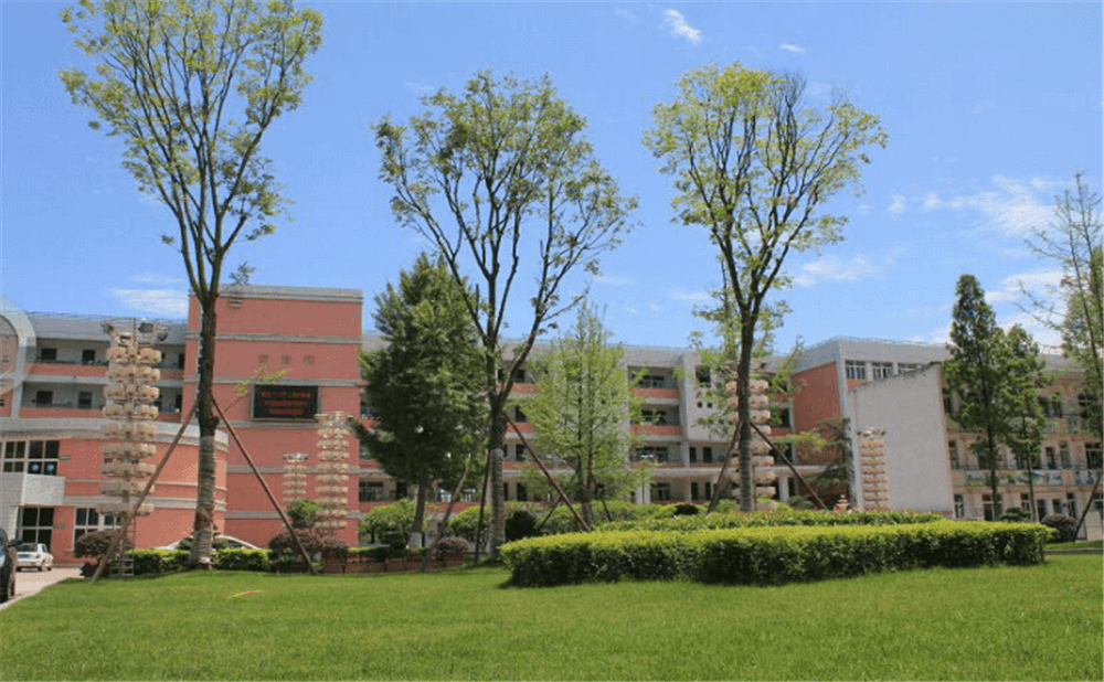 成都市籍田中學(xué)的老師怎么樣？