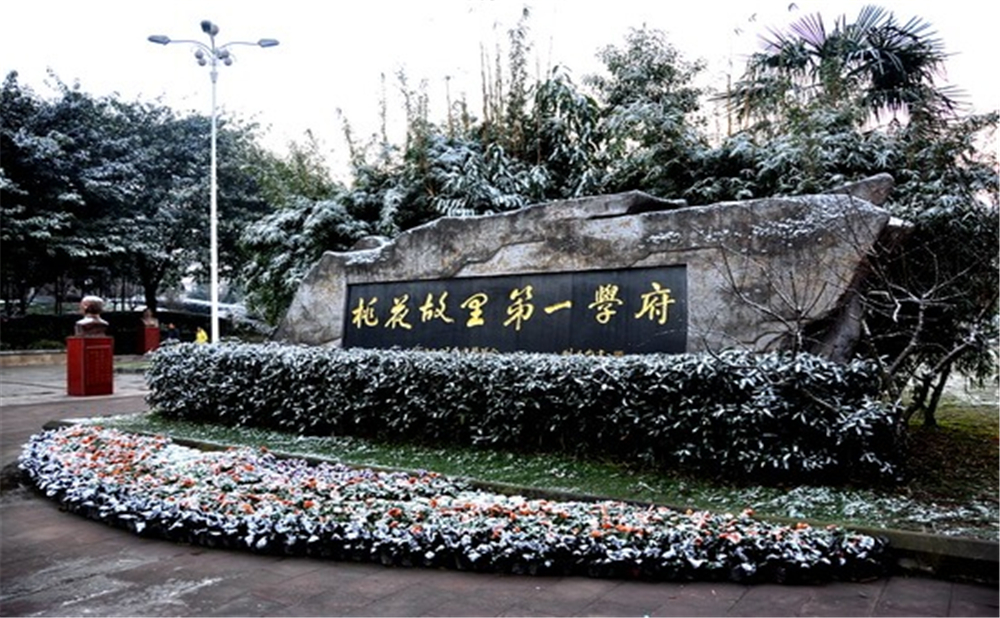 成都市龍泉中學(xué)的高考升學(xué)率是多少？