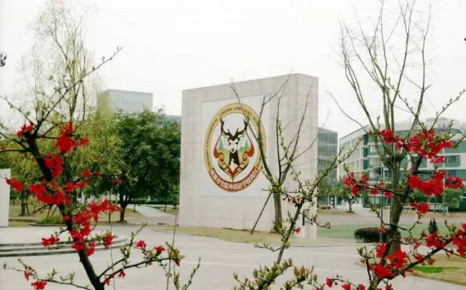 成都實(shí)驗(yàn)外國語學(xué)校（西區(qū)）2020年的招生標(biāo)準(zhǔn)是什么？
