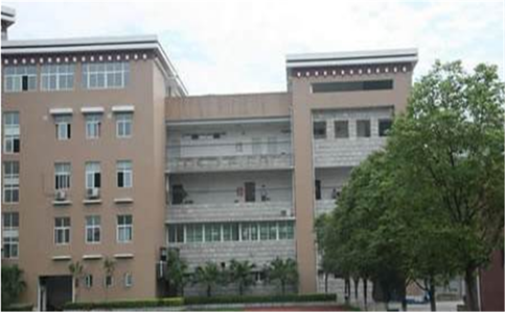 2020年成都西藏中學計劃招多少人？