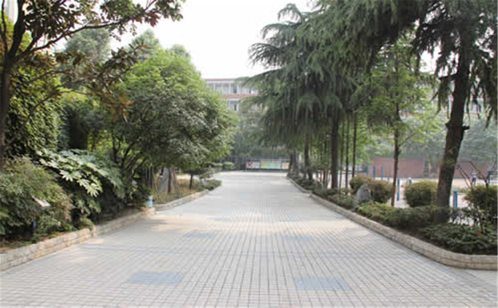 成都列五中學(xué)高中一年的學(xué)費(fèi)是多少？