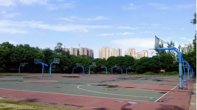 成都實驗外國語學校的本科升學率是多少？