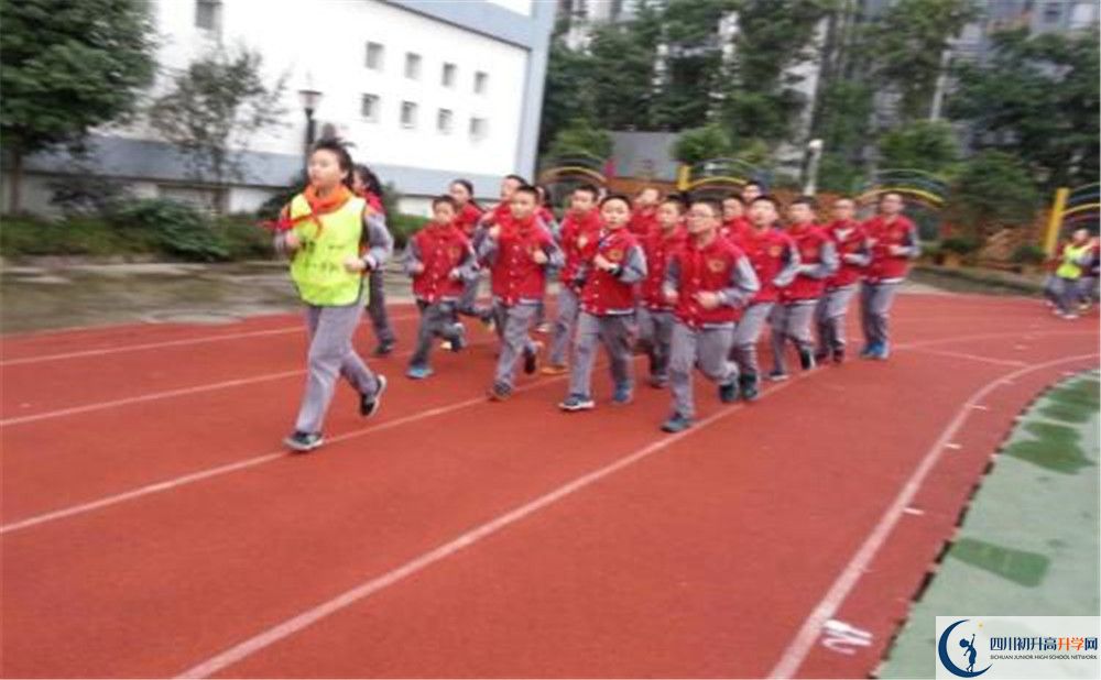 2020成都市泡桐樹中學(xué)的升學(xué)率有多少？