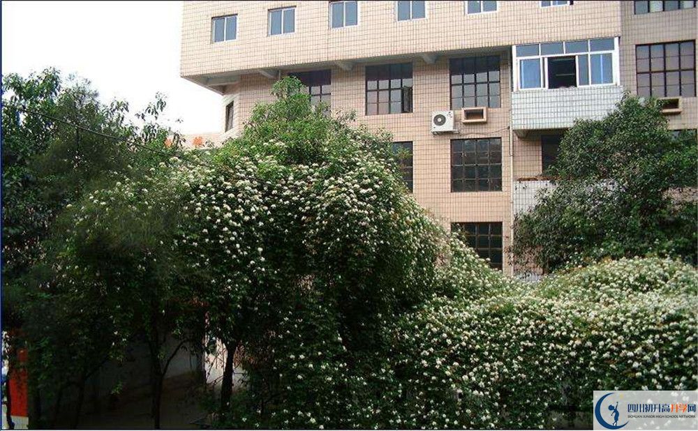 石室聯(lián)合中學(xué)蜀華分校一學(xué)期的學(xué)費(fèi)是多少？