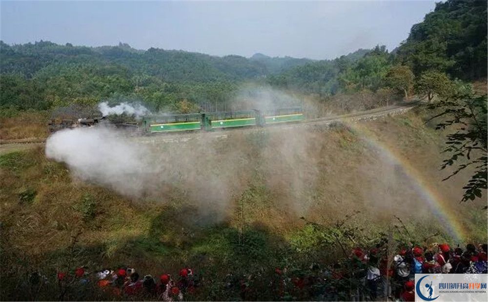 考成都市泡桐樹中學分數(shù)線是多少？