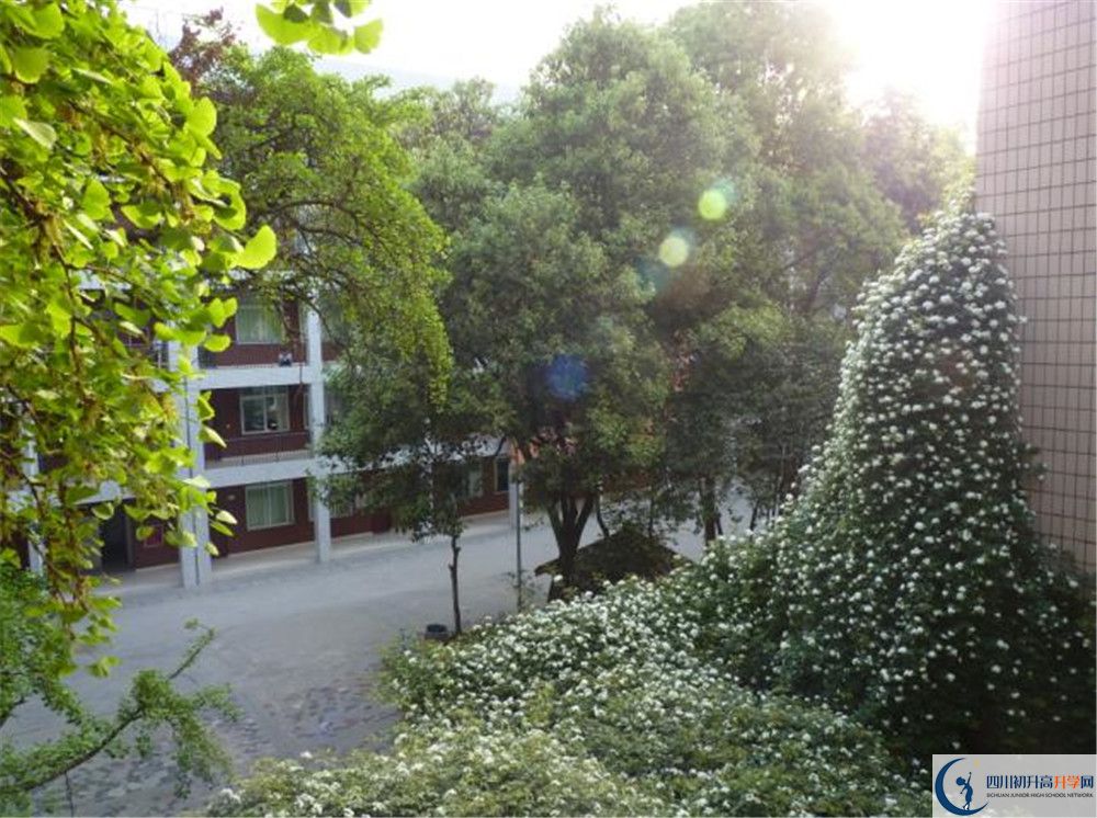 近幾年石室聯(lián)合中學(xué)蜀華分校高中錄取的分?jǐn)?shù)線(xiàn)