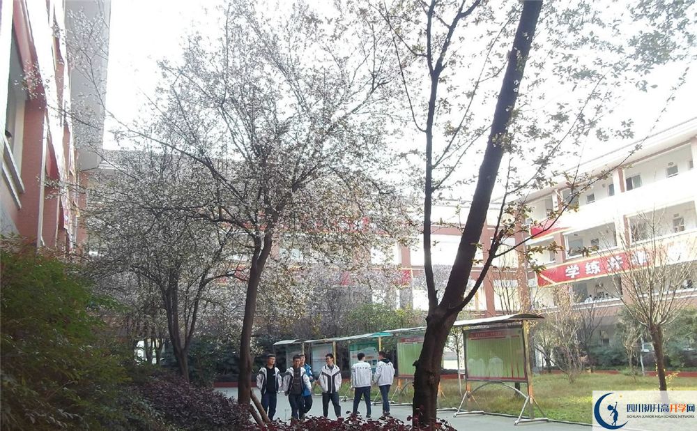成都三十六中高中歷年來的分數(shù)線是多少分？