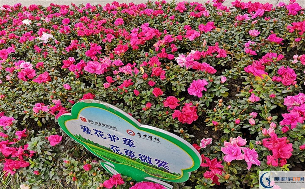 育才學(xué)校高中歷年來的分數(shù)線是多少？