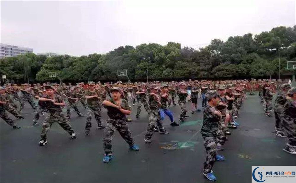 武侯高級(jí)中學(xué)2020年清華北大人數(shù)是多少？