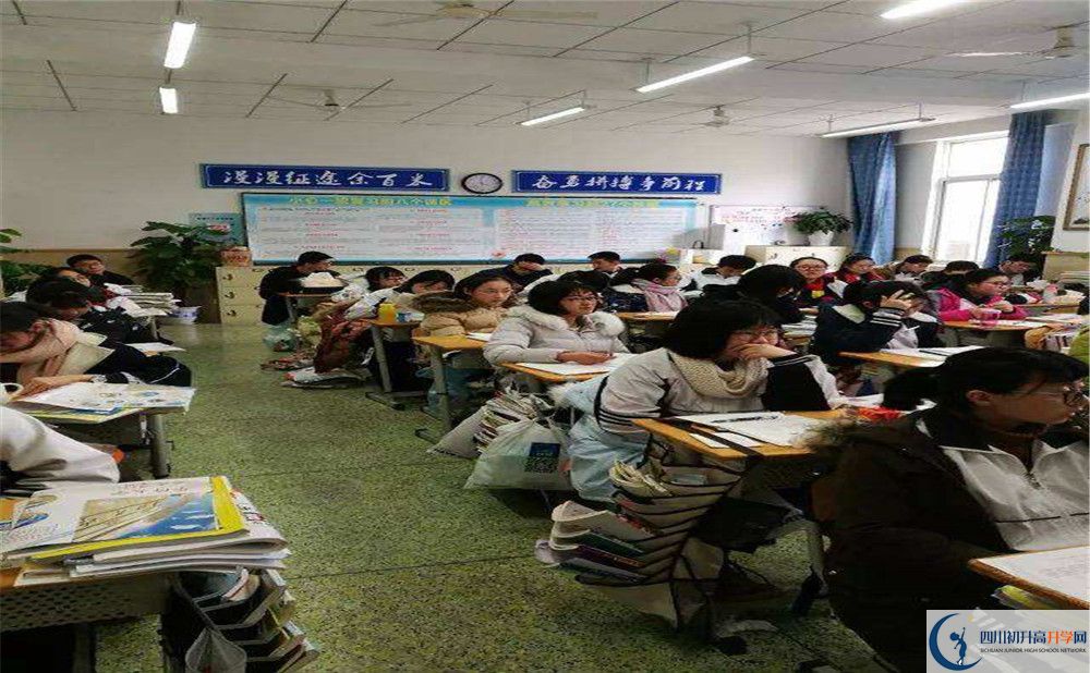 成都十二中地址在哪里？