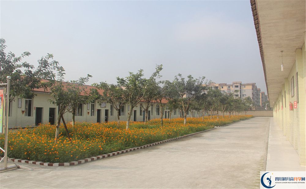 2020年強(qiáng)項(xiàng)實(shí)驗(yàn)中學(xué)自主招生考試報(bào)名時(shí)間是多久？
