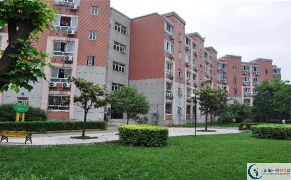 樹德博瑞實(shí)驗(yàn)學(xué)校地址在哪里？