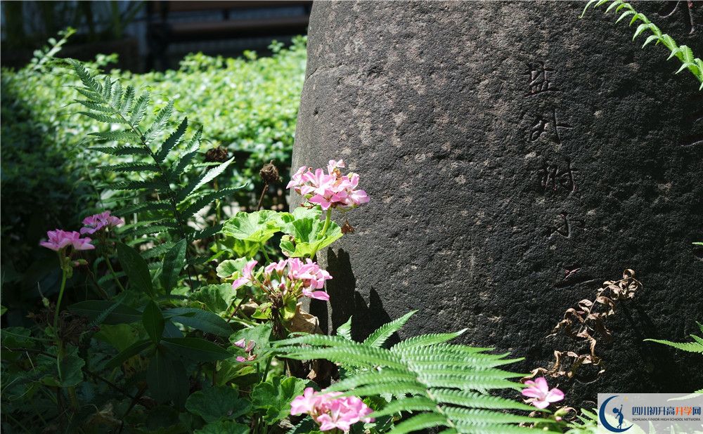 石室聯(lián)合中學(xué)蜀華分校住宿費(fèi)用是多少？